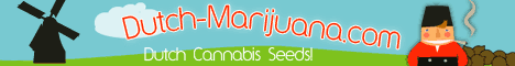 Growing marijuana, grow marijuana, medical seeds, marijuana seeds