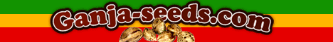 Ganja-seeds.com The Best Marijuanna Seeds, Cannabis, Weed shop in The Netherlands!