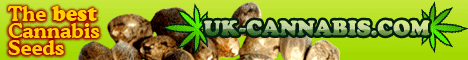 UK Cannabis - Marijuana Seeds, (graines de Cannabis) Cannabis Seeds