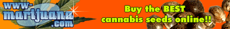 cannabis marijuana ganja seeds